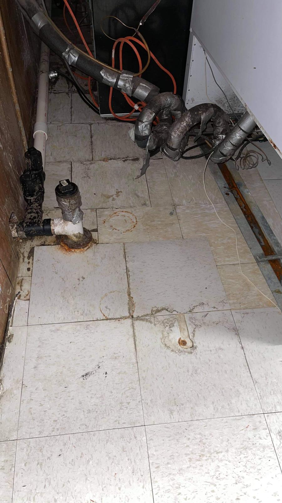 After project 6 by NICE 2 CLEAN