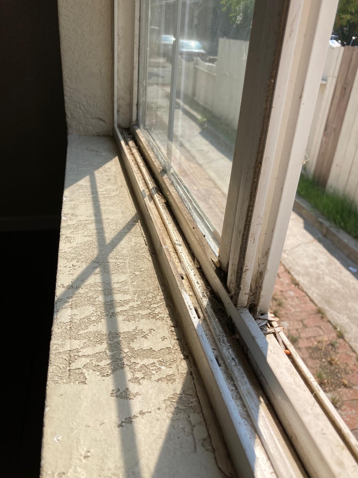 Before project 2 by NICE 2 CLEAN